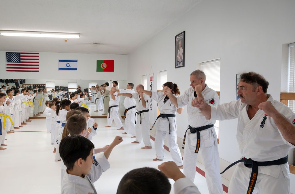 Karate Katas Explained: Everything You Need to Know